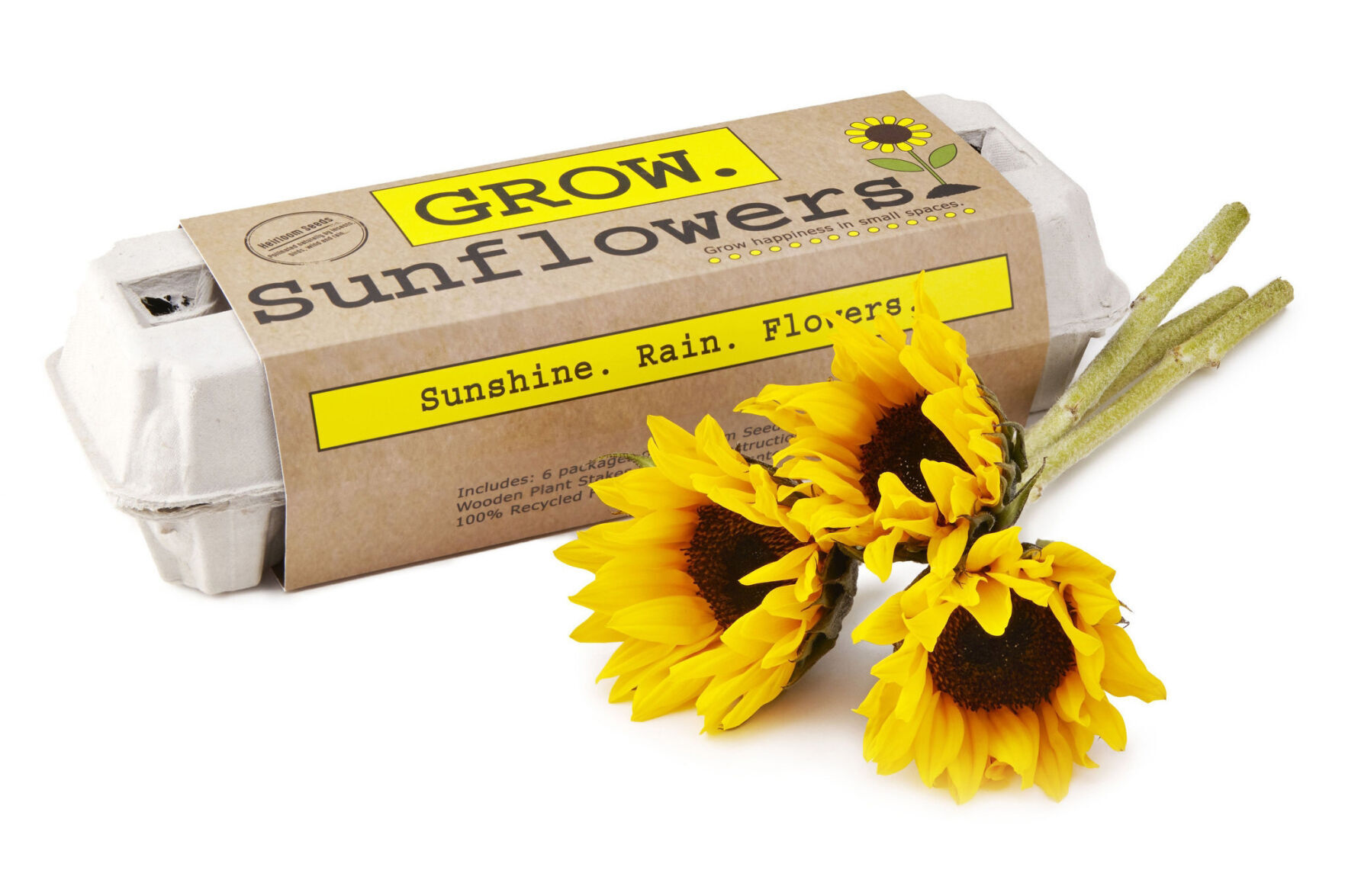 Sunflower Garden Grow Kit